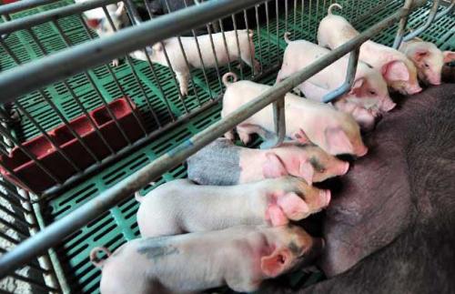 ���ϟo(w��)�����,�������W(w��ng)վ,�L(zh��ng)ɳ�W(w��ng)վ����,�L(zh��ng)ɳ�W(w��ng)վ���O(sh��),�L(zh��ng)ɳ�W(w��ng)վ�O(sh��)Ӌ(j��),�L(zh��ng)ɳ��վ,�L(zh��ng)ɳ�W(w��ng)�j(lu��)��˾,˽�����W(w��ng)վ,�L(zh��ng)ɳ���W(w��ng)վ�Ĺ�˾,�L(zh��ng)ɳ��W(w��ng)�W(w��ng)�j(lu��)������,���ϾW(w��ng)վ���O(sh��)